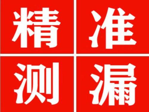 南江尚嘉漏水精准查找