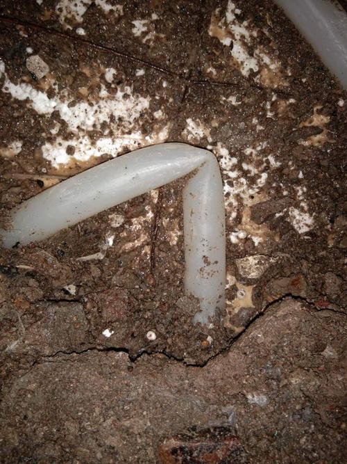 南江堵点精准查找